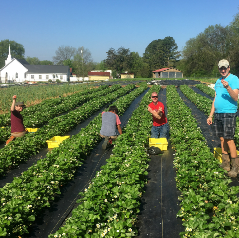 Support a CSA With Heart, Old School Farm in Middle Tennessee!