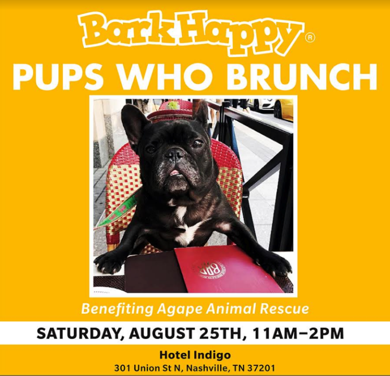 BarkHappy Nashville Pups Who Brunch benefiting Agape Animal Rescue at Hotel Indigo!