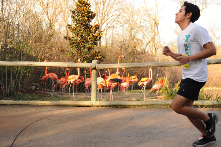 ZOO RUN RUN at The Nashville Zoo This Saturday!