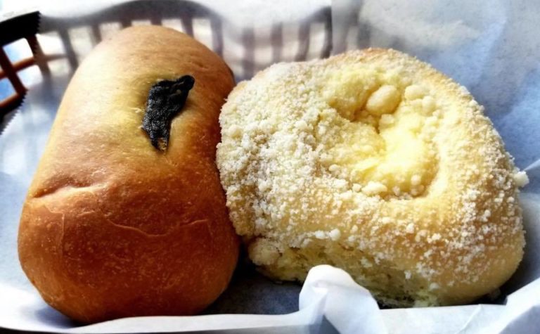 We Love Yeast Nashville. From the Bottom of Our Texas roots hearts. We Love Yeast Nashville. From the Bottom of Our Texas roots hearts.