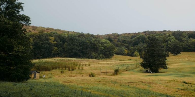 Open Fire Dinner Experience at Bloomsbury Farm Presented by In Good Company!