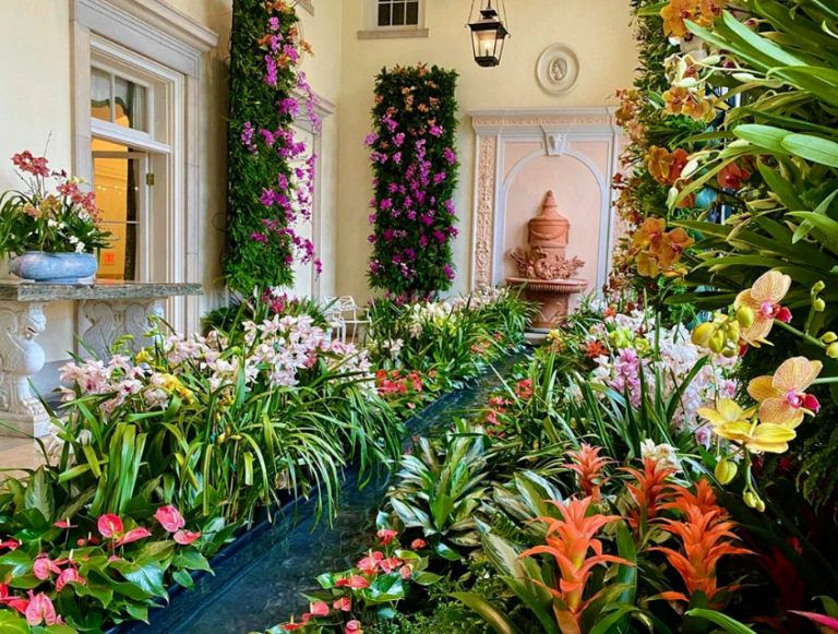 Orchids in the Mansion at Cheekwood! Orchids in the Mansion at Cheekwood!