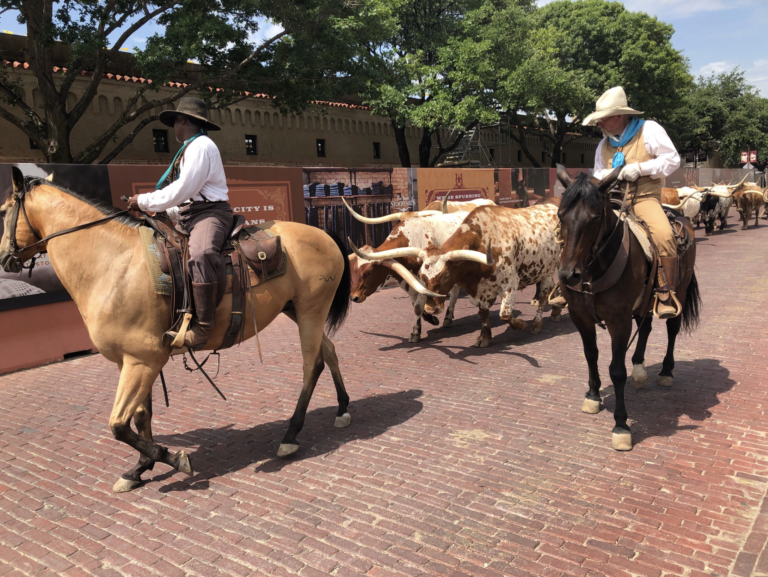Must Do’s of Dallas and Fort Worth. #NashvilleBuyLocalTravels